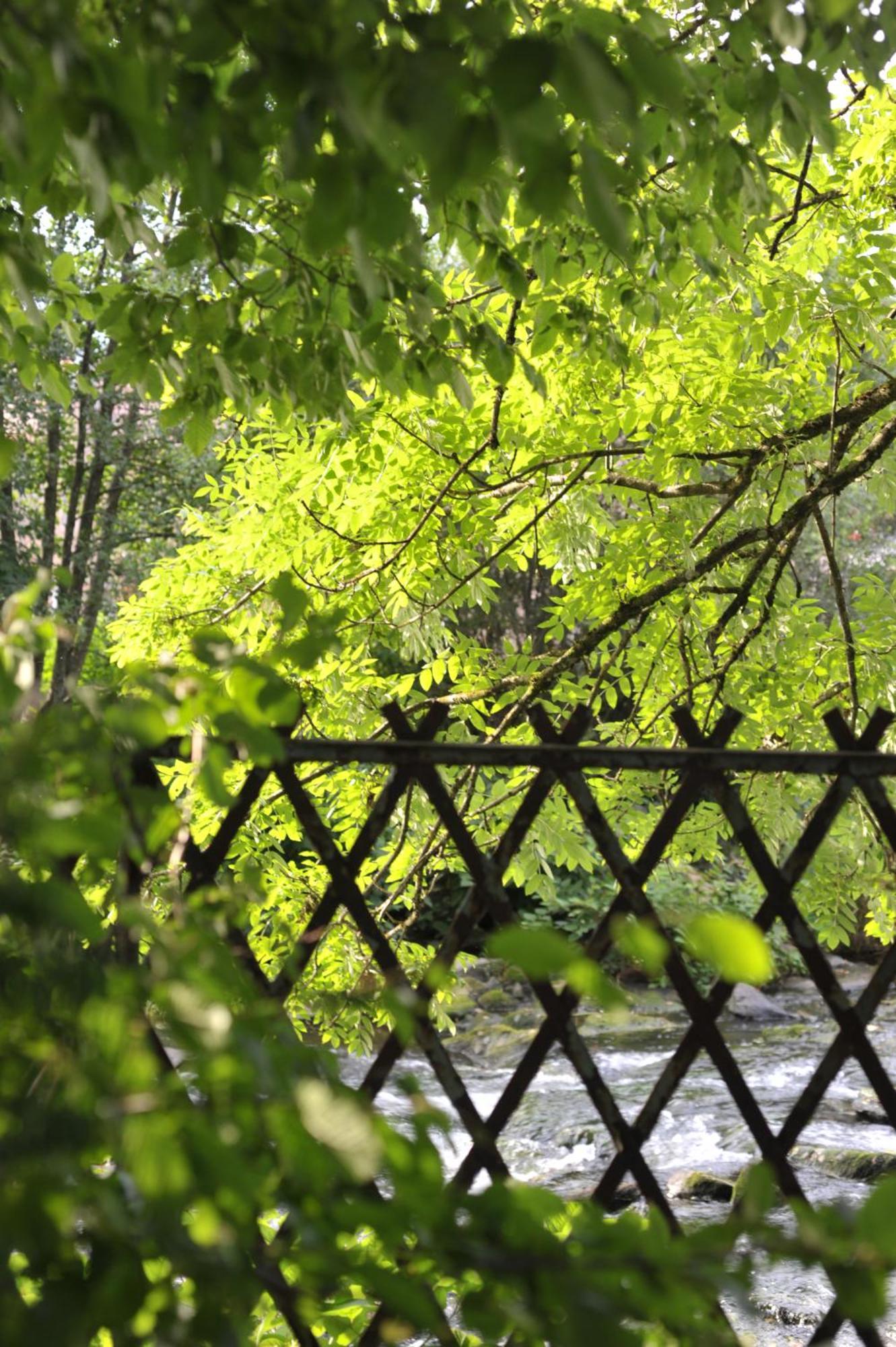 רונשאם La Maison D'Hotes Du Parc מראה חיצוני תמונה