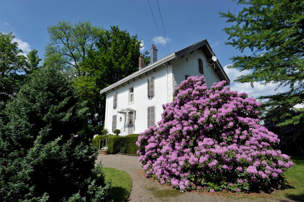 רונשאם La Maison D'Hotes Du Parc מראה חיצוני תמונה